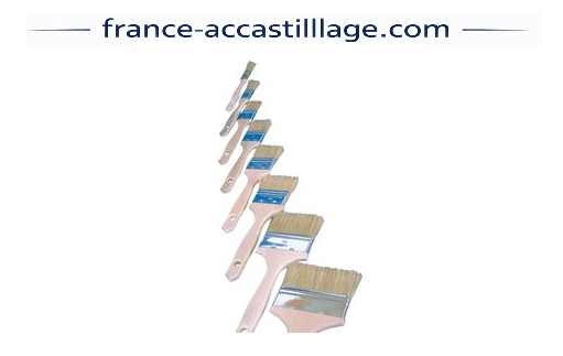 Pinceaux a jeter